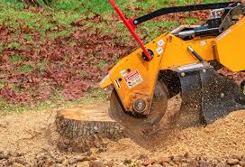 Best Firewood Processing and Delivery  in Middletown, KY