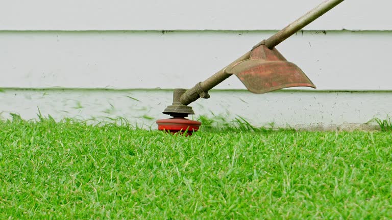 Best Grass Overseeding  in Middletown, KY