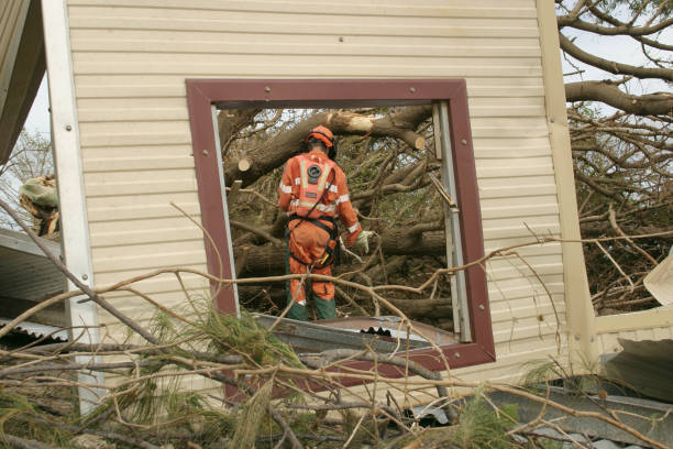 Best Tree Preservation Services  in Middletown, KY