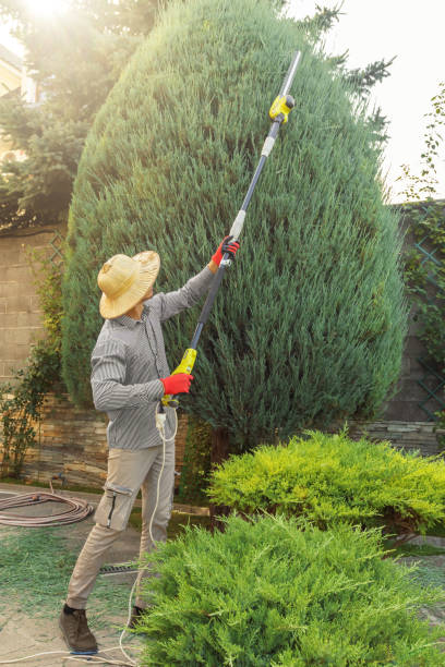 Best Pest Control for Lawns  in Middletown, KY